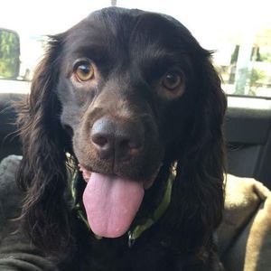 Meet your Posher, Dana